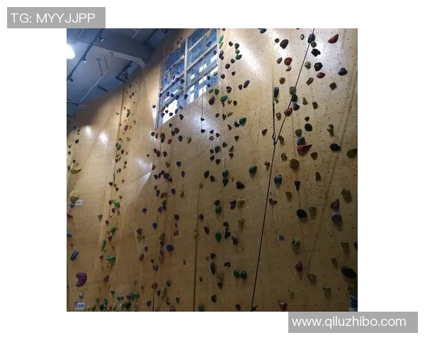 南京攀岩队荣登全国攀岩配合排行榜第一名引发热议