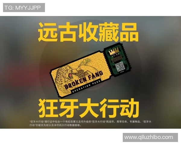 深度对话：赵丽分享她在CSGO中的成长与挑战经历