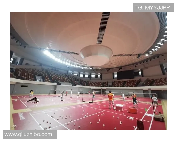 羽毛球纪实：见证成都羽毛球队奋勇拼搏与辉煌成就的成长之路