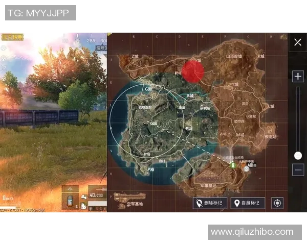 从零起步到高手之路：和平精英全方位速度攻略秘籍