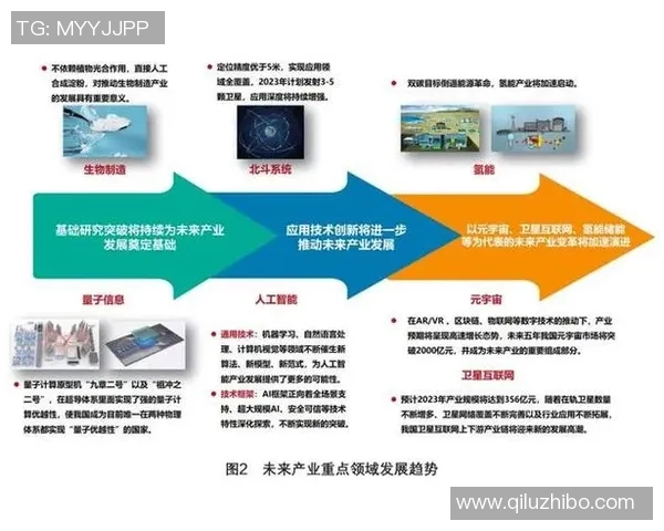 全国锦标赛回顾：杭州乒乓球队的竞技状态与未来展望分析