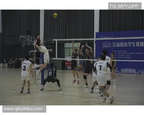 广州排球队的奋斗与荣耀：一段不平凡的排球纪实之旅