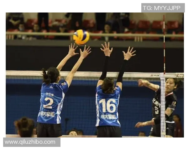 成都排球队的默契配合与战术分析探讨