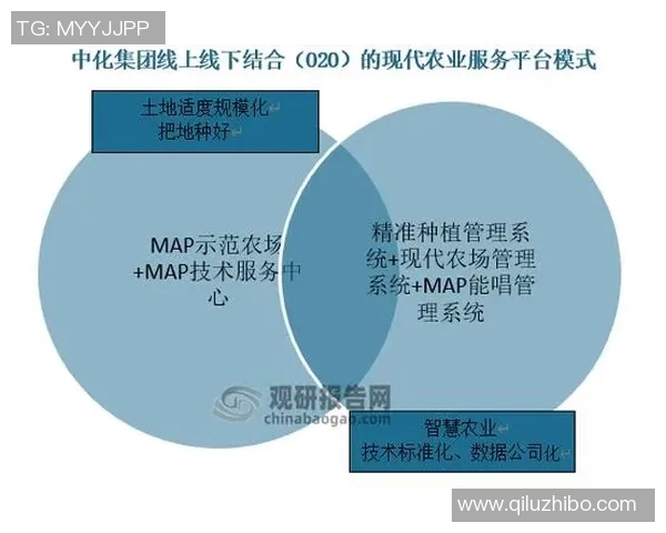 数据分析视角下液化天然气市场的战术表现与未来趋势探讨