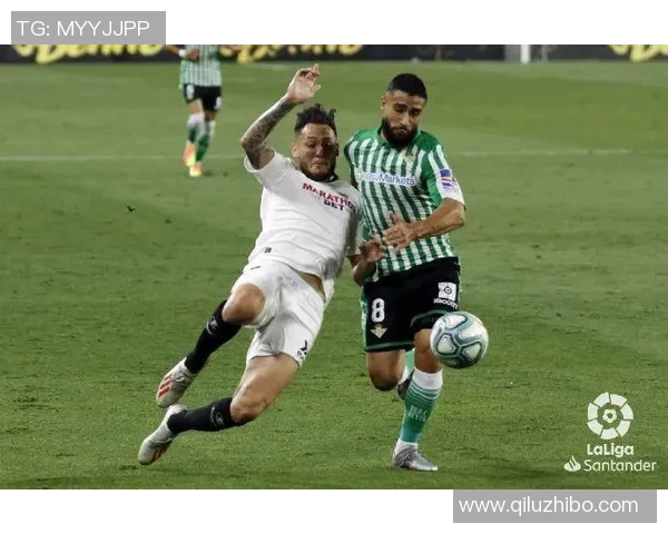 武汉飞盘队在马拉松大满贯积分榜上以79分稳居第一名引发热议