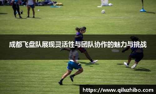 成都飞盘队展现灵活性与团队协作的魅力与挑战